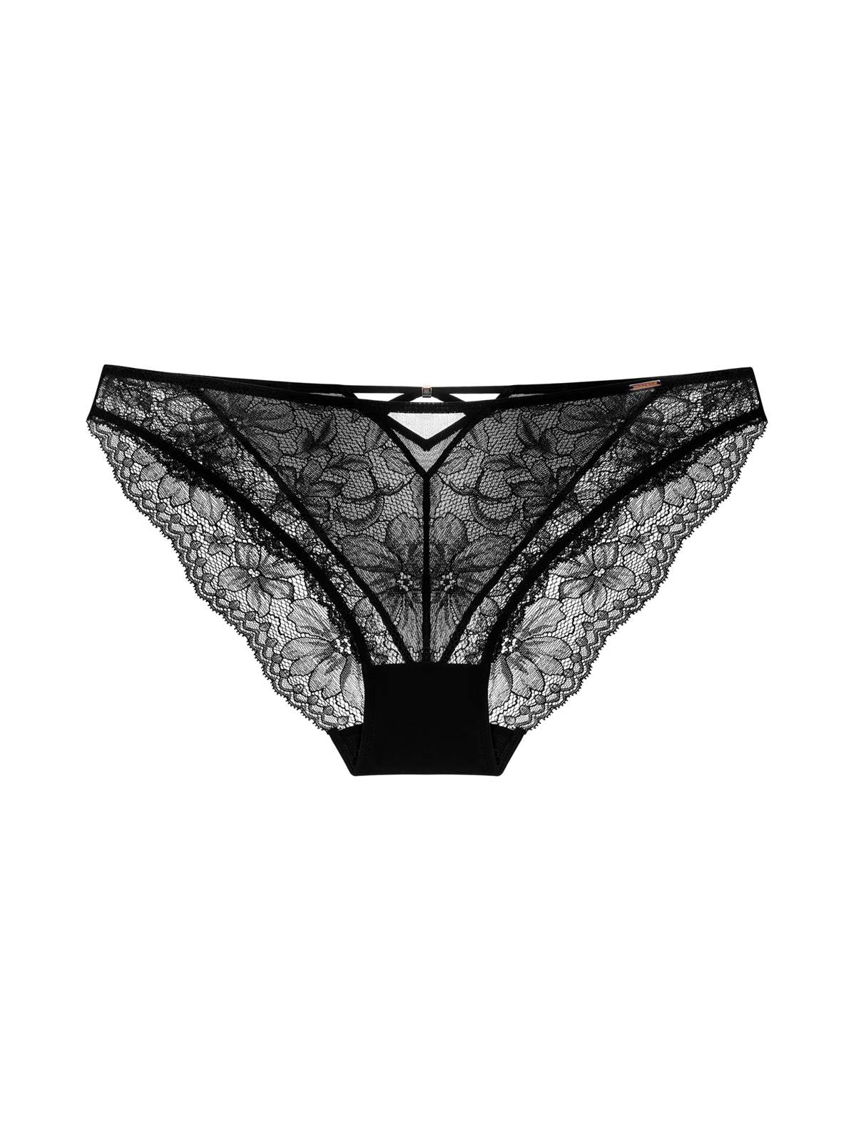 Jemma Brief