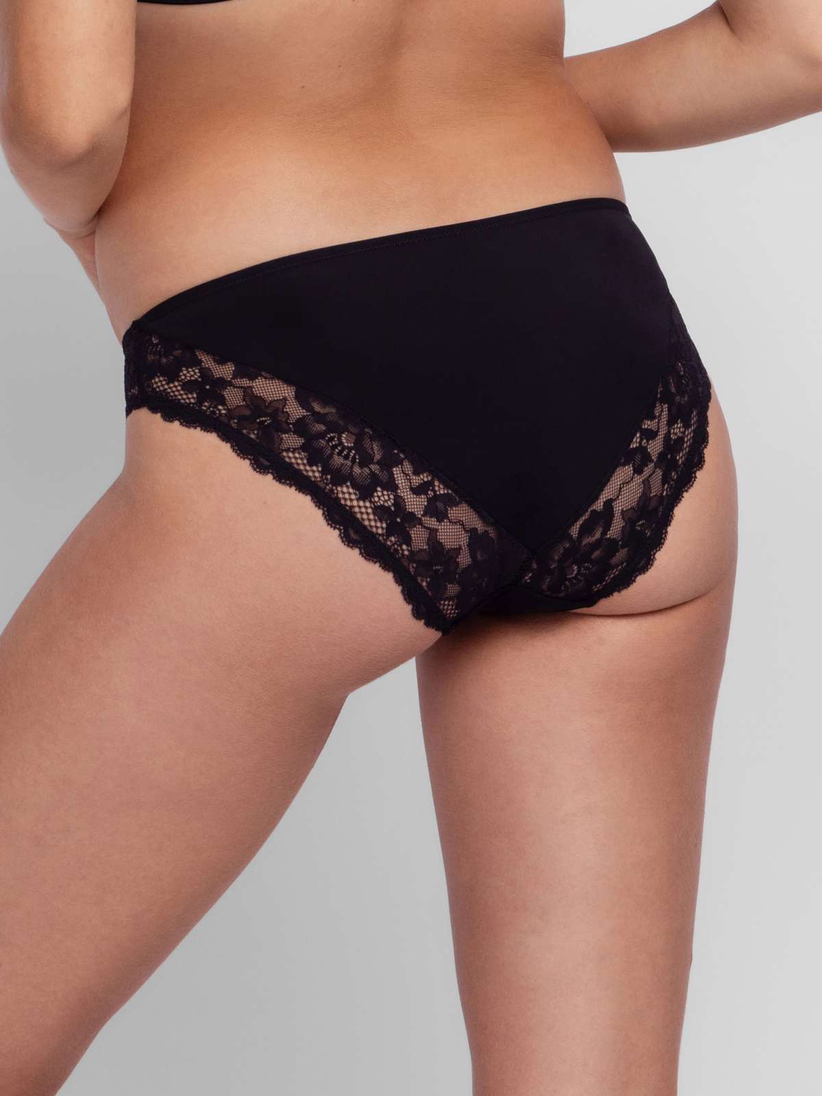 Willa Brief