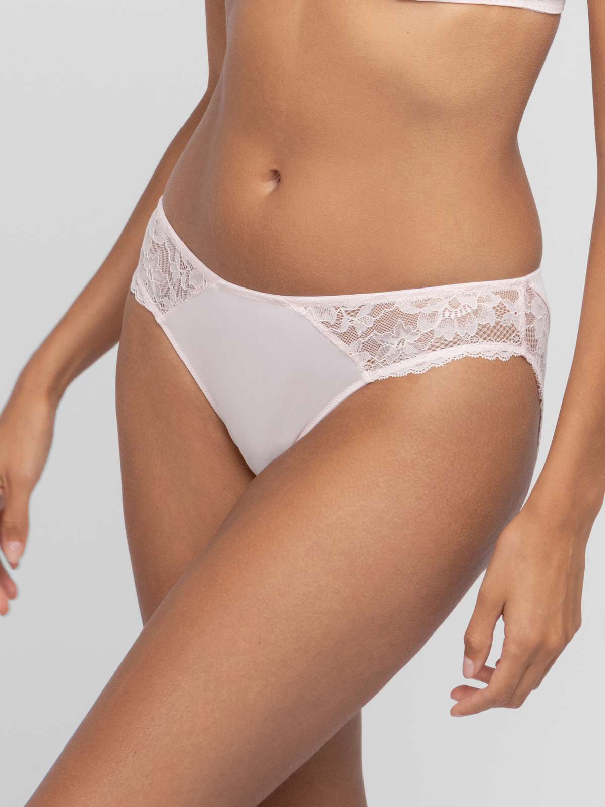 Willa 2pp Brief