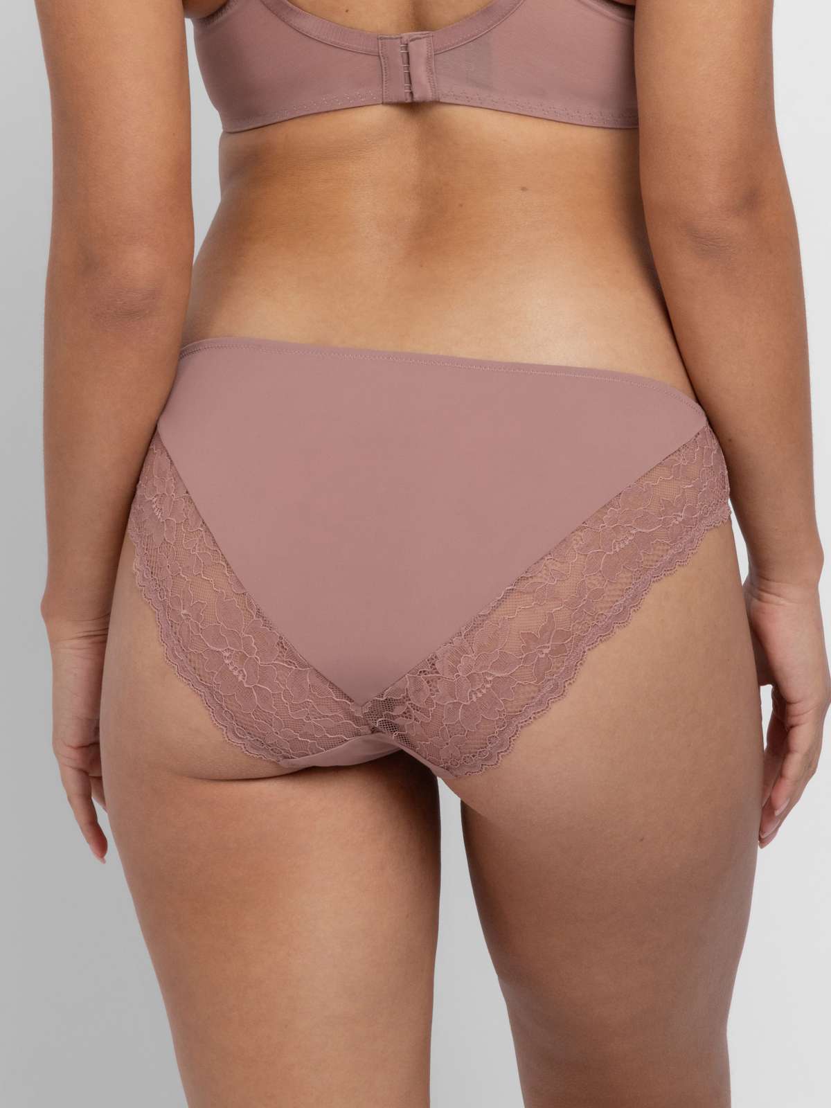 Willa 2pp Brief